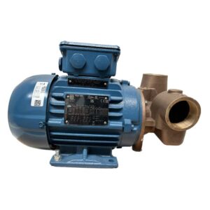 53081-2003-400 Lowara-Xylem Utility Pump